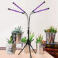 LED Grow Light Full Spectrum with Adjustable Tripod Stand for Indoor Plant