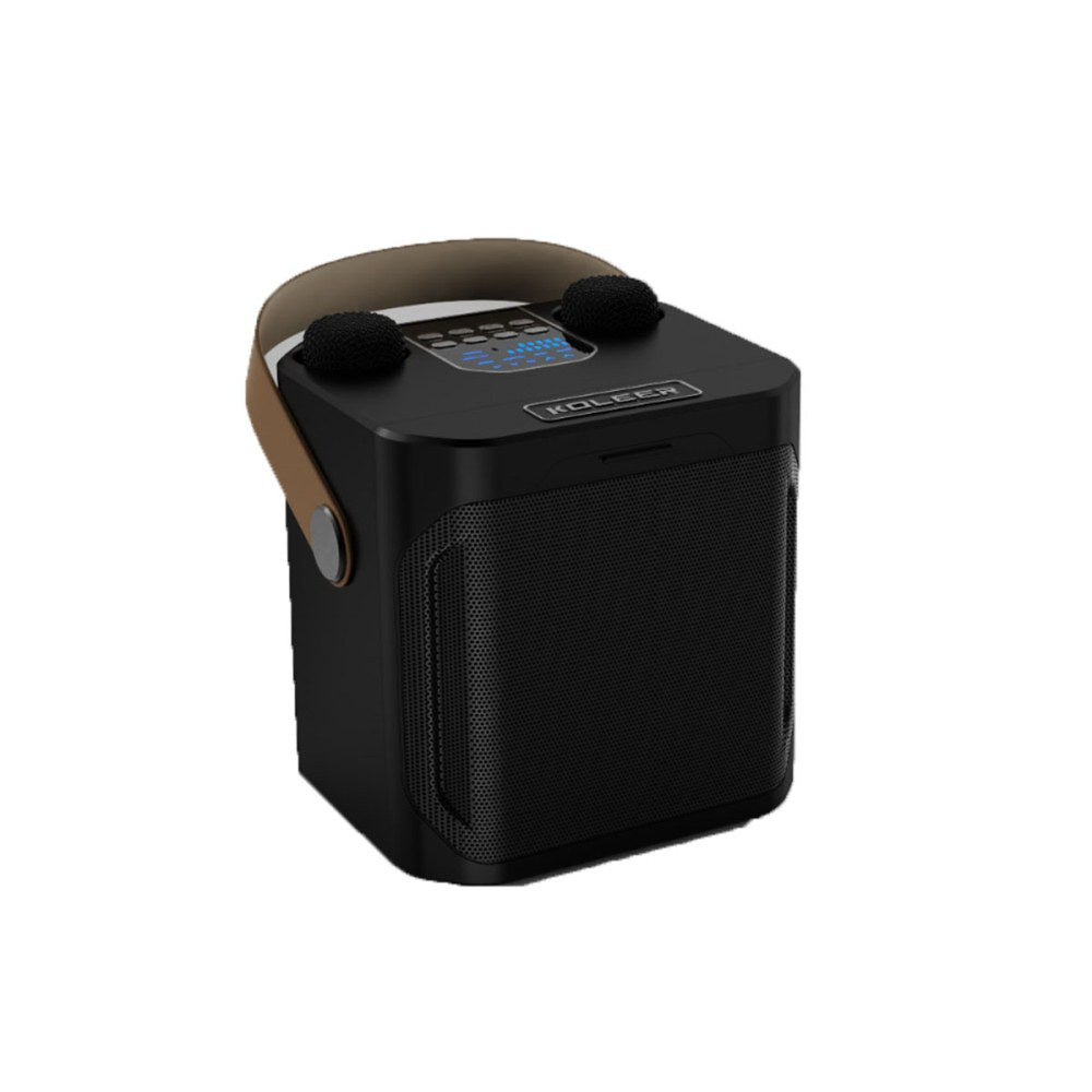 Karaoke Machine with 2 Wireless Mics Bluetooth Portable Karaoke Speaker