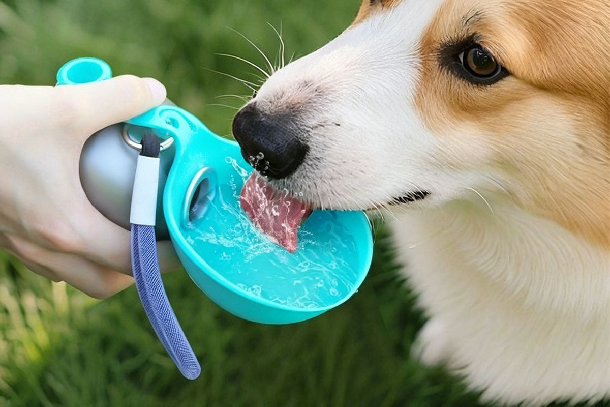 285ML Leak-Proof Stainless Steel Pet Water Bowl Portable Dog Water Bottle with Silicone Cover Pet Travel Water Dispenser