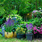 6PCS Plant Supports Stakes Half Round Garden Stakes Plant Support Green Plant Support Ring Border