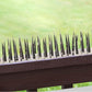 Trimmable Stainless Steel Bird Spikes for Outdoor Pigeons and Other Small Birds
