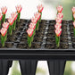 10 Pack Deep Cell Seed Starter Trays for Plant Nursery