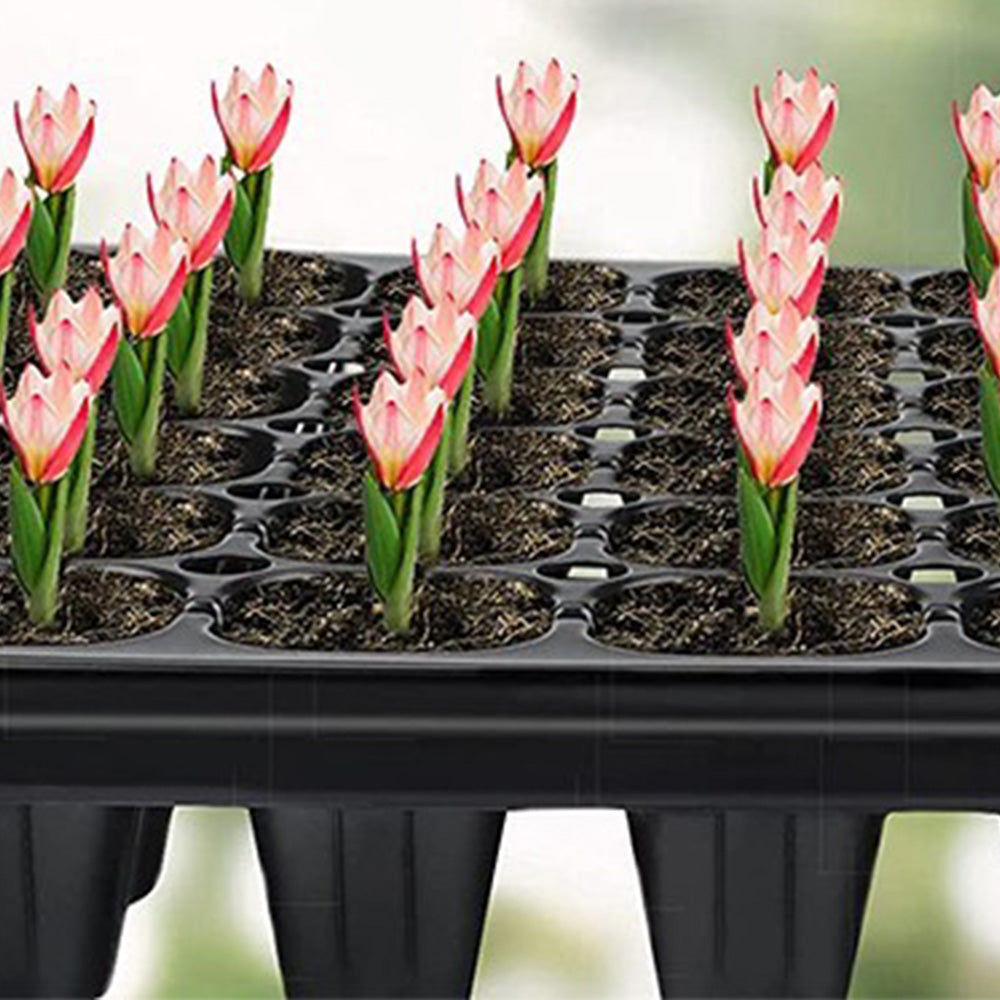 10 Pack Deep Cell Seed Starter Trays for Plant Nursery