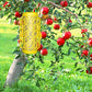 2Pcs Wasp Trap Outdoor Hanging Insect Catcher for Wasps and Carpenter Bees
