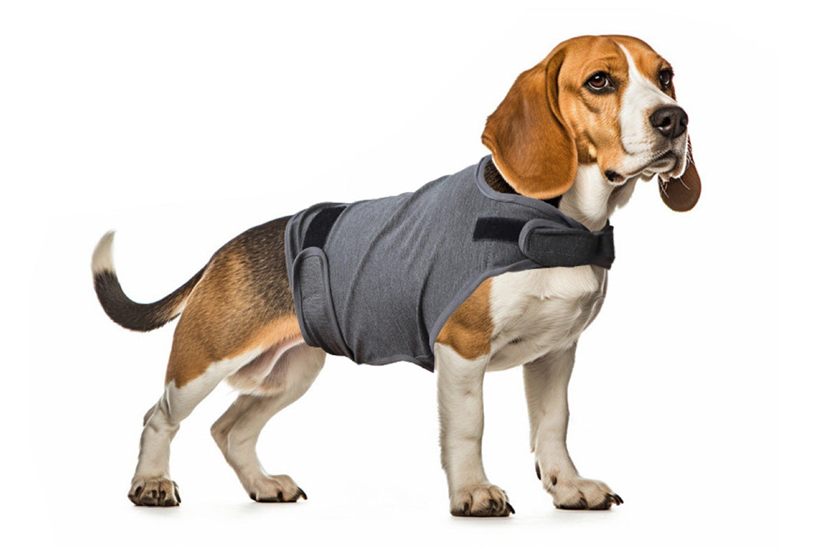 Pet Anxiety Relief Vest Dog Adjustable Calming Wrap for Thunderstorms Travel