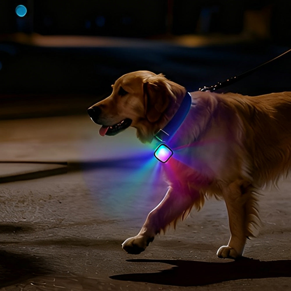 LED Clip On Pet Collar Light for Dogs Cats Outdoor Activities (Copy)
