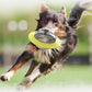 Pet Tumbler Ball Slow Feeder Interactive Toy