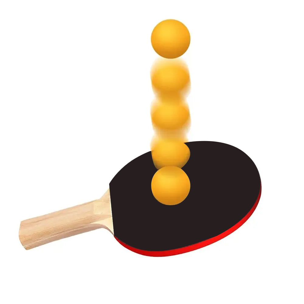 Portable Table Tennis Set with Rackets Balls Retractable Net and Carry Bag
