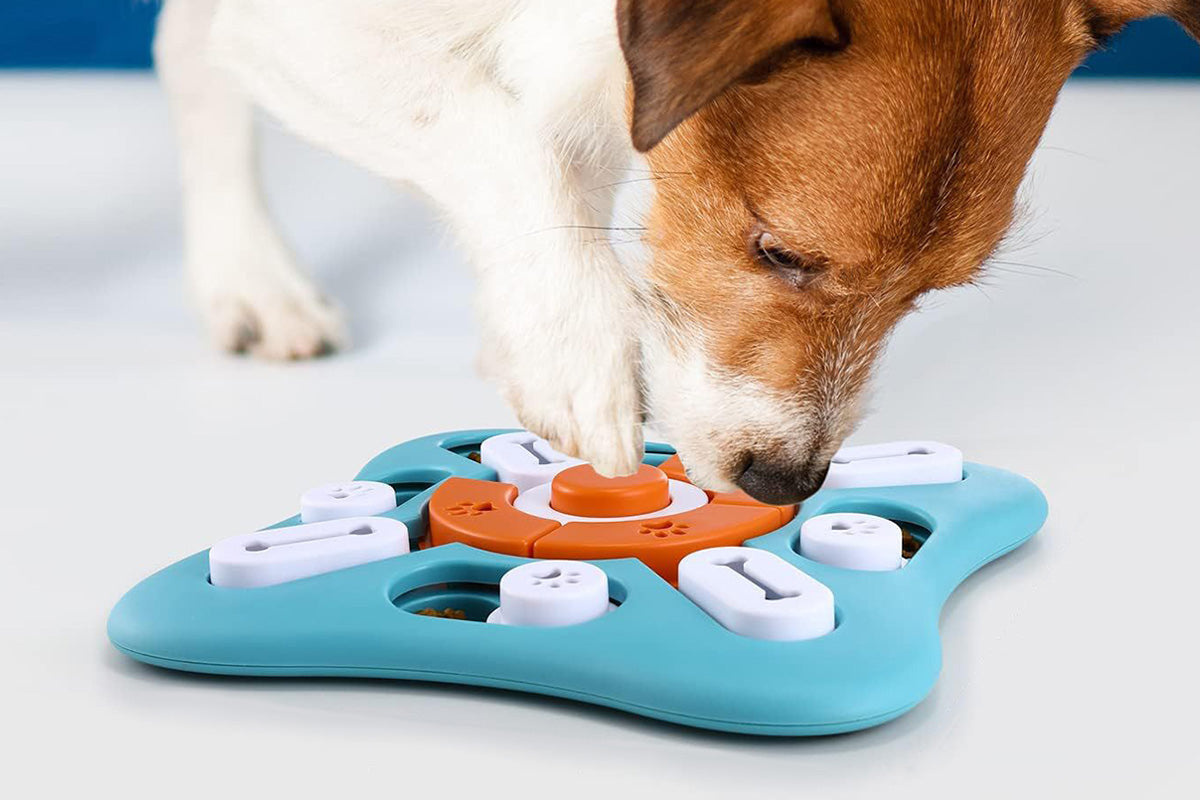 Interactive Dog Treat Puzzle Toy Slow Feeder
