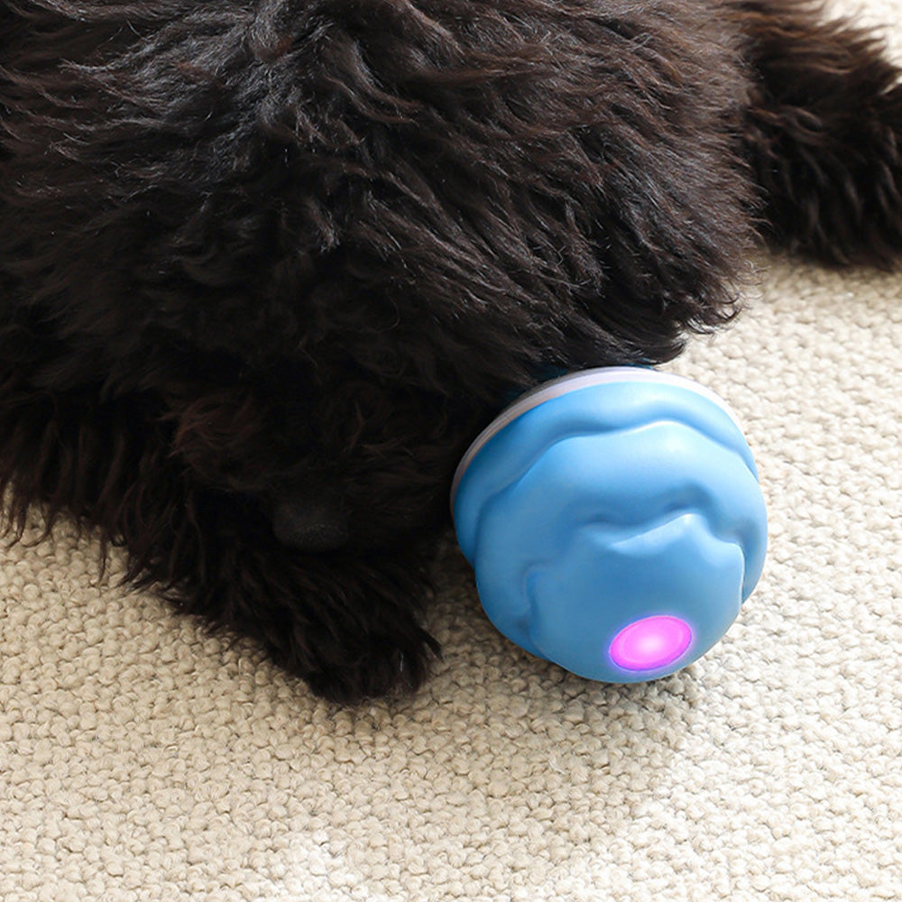 Interactive Dog Toys with Motion Activated Active Rolling Ball Wicked Ball