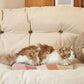 2 Pack Wave Cat Scratcher Cardboard Dual-Side Reversible for Furniture Protection