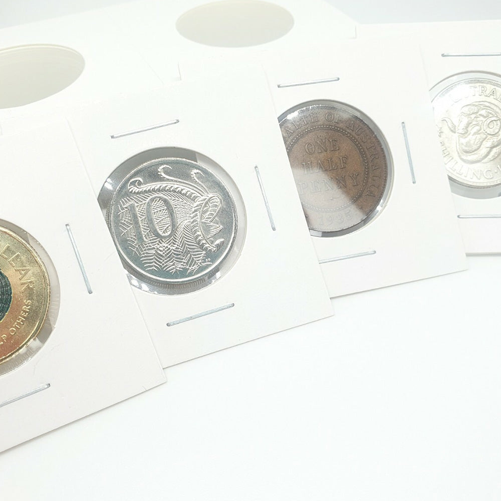 50 Piece Cardboard Coin Holders with Clear Window for Staple Display