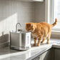 2L Stainless Steel Cat Water Fountain with 3 Modes Wireless Pet Water Dispenser for Dogs Cats