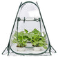 70x70x80cm Pop-up Greenhouse Cover Transparent PVC Mini Small Grow Plant House Tent