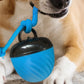 Squeaky Dog Toy Active Rolling Ball Interactive Dog Toys With Motion Activated