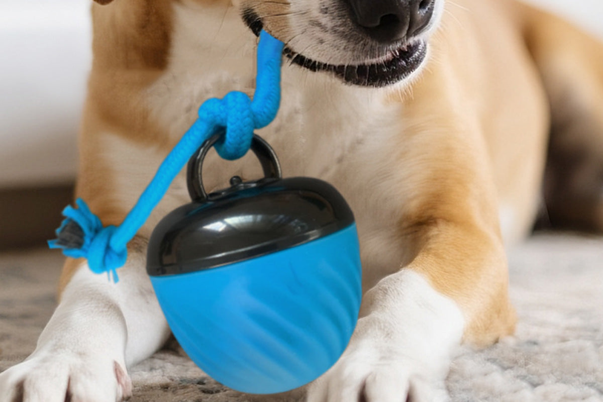 Squeaky Dog Toy Active Rolling Ball Interactive Dog Toys With Motion Activated