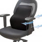 Ergonomic Lumbar Back Support Cushion Memory Foam Backrest with Adjustable Strap