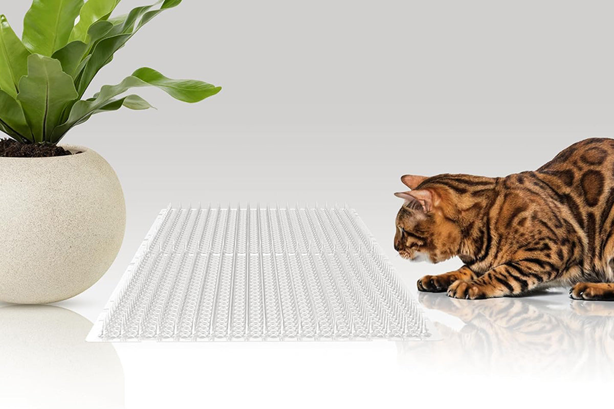 10PCS Cat Spike Mats Pet Training Mat Device Cat Deterrent Mat Set For Indoor And Outdoor