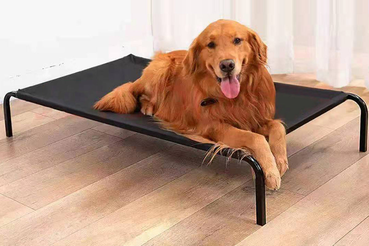 Heavy Duty Pet Raised Bed Elevated Trampoline Pet Bed Dog Mesh Hammock