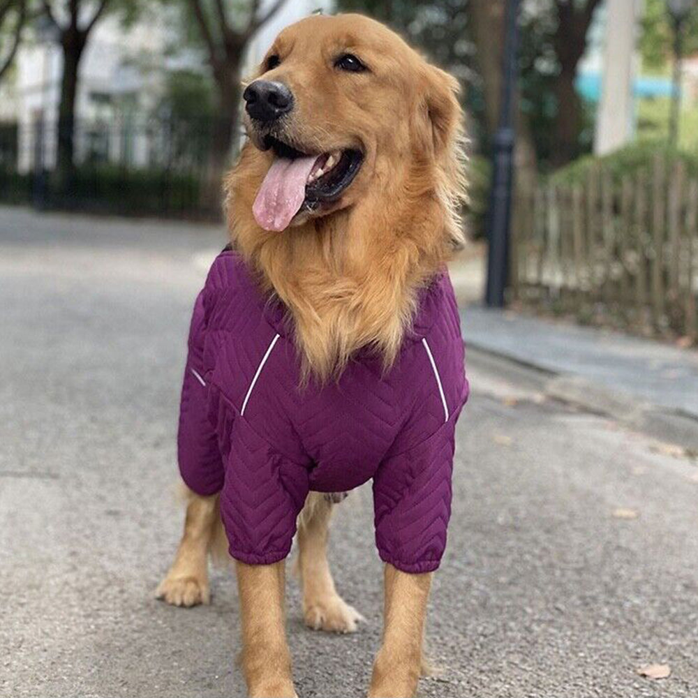 Dog Coat 4 Legs Covered Windproof Waterproof Dog Winter Jacket-Purple