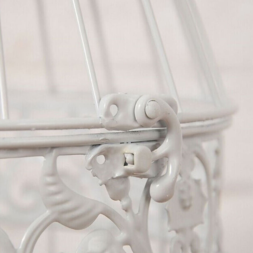 Iron Wire Birdcage Shape Succulent Plant Pot Hanging Frame