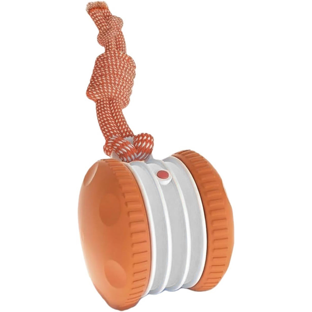 Interactive Pet Rolling Ball Toy Rechargeable Automatic Play Ball for Cats and Dogs