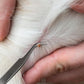 12-in-1 Pet Tick Removal Kit Stainless Steel Tick Remover Tools for Dogs and Cats