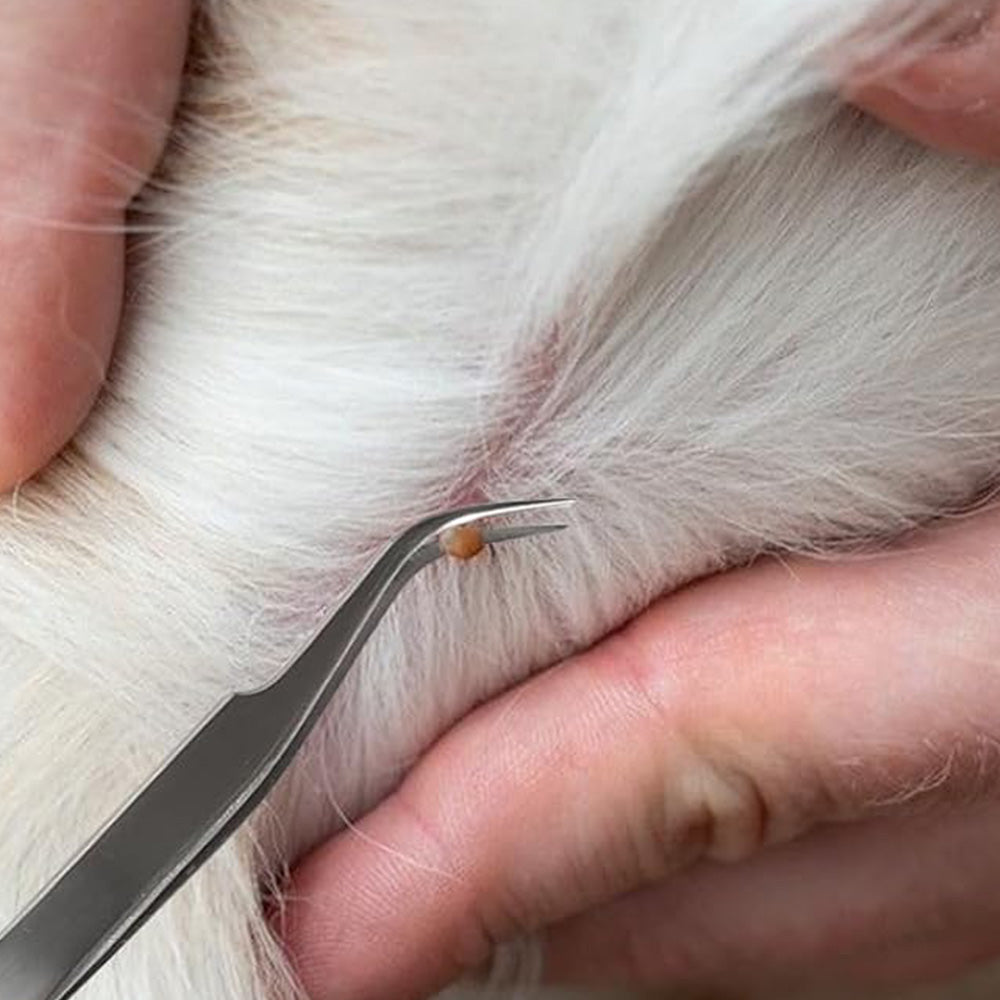 12-in-1 Pet Tick Removal Kit Stainless Steel Tick Remover Tools for Dogs and Cats