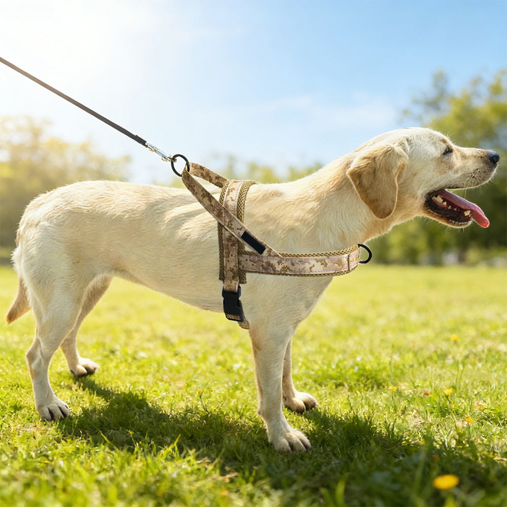 Mesh Padded Dog Harness No-Pull Vest