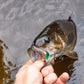 Fishing Lure Tackle Bait Kit