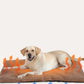 Self-Heating Pet Blanket