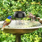 Solar Water Agitator for Bird Feeder