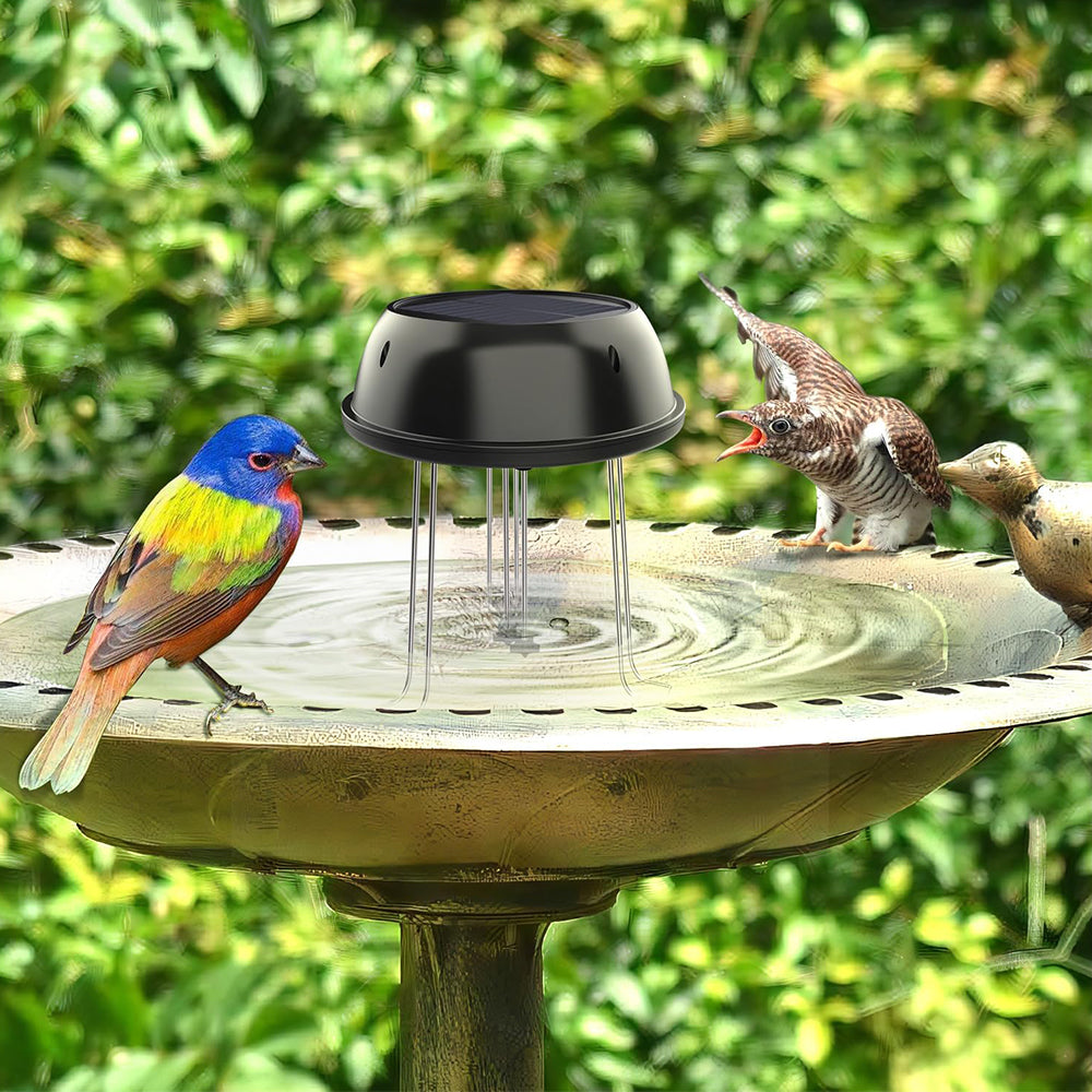 Solar Water Agitator for Bird Feeder