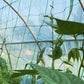 Garden Plant Climbing Net Vegetable Flower Vine Trellis Support Fence
