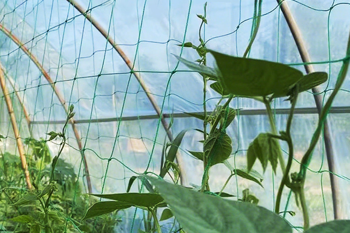 Garden Plant Climbing Net Vegetable Flower Vine Trellis Support Fence