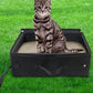 Foldable Portable Travel Litter Box for Cats Waterproof Lightweight & Easy to Clean
