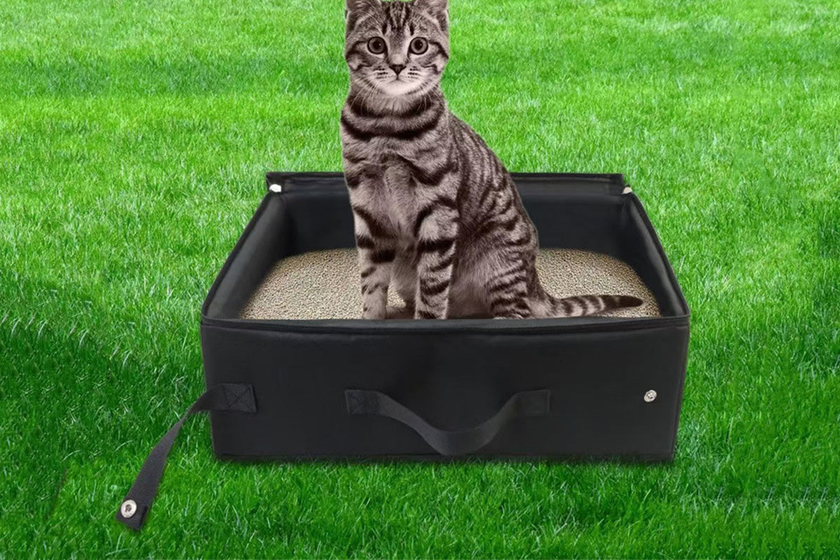 Foldable Portable Travel Litter Box for Cats Waterproof Lightweight & Easy to Clean