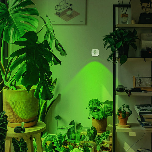Wireless LED Spotlight 3000K 4000K 5000K Uplighting Indoor for Wall Art Display