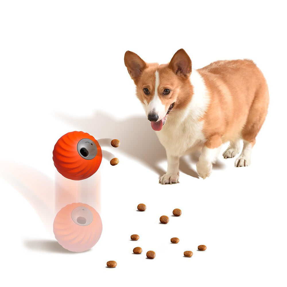 Slow Feeder Dog Toy Rolling Food Ball Pet Training Interactive Treat Toy