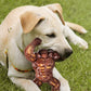 Nylon Indestructible Dog Chew Toy for Aggressive Chewers