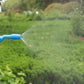 Lawn and Garden Pump Sprayer for Plants Weeds Pests with Adjustable Nozzle