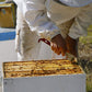 2 Pack Stainless Steel J Type Bee Hive Scraper Multi Functional Beekeeping Tool for Wax Propolis