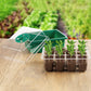 5Pcs Seed Trays 12 Cells Seed Starter Kit for Seeds Growing Starting