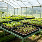 10 Pack Seedling Tray Fine Holes Plant Propagation Seedling Hydroponic Square