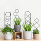4Pcs Plant Climbing Trellis Metal Flower Plant Support Frame