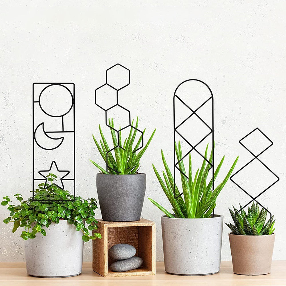 4Pcs Plant Climbing Trellis Metal Flower Plant Support Frame