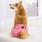 Female Dog Diaper Wrap Sanitary Pant with Hole Reusable Physiological Underpants-Pink