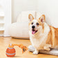 Motion Activated Interactive Dog Ball Toy