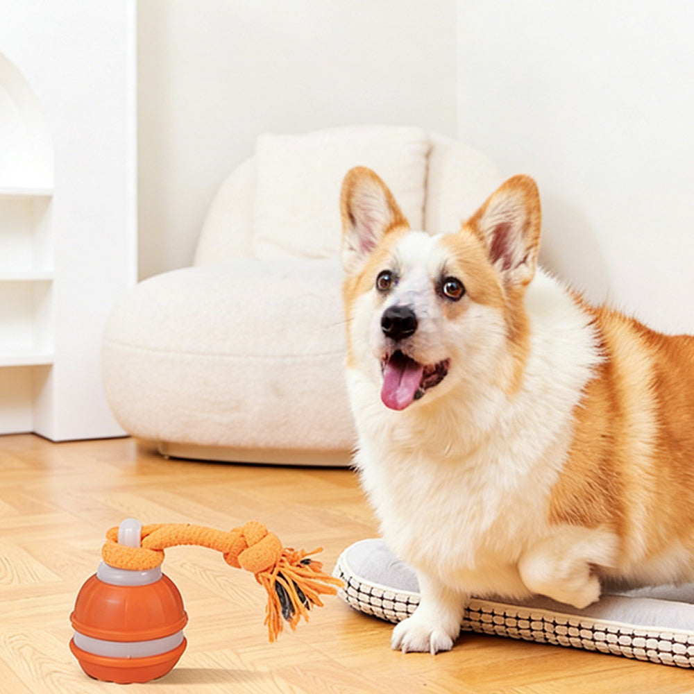 Motion Activated Interactive Dog Ball Toy