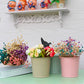 3Pcs Metal Herb Plant Pot with Tray and 10Pcs Mini Chalkboard Wooden Plant Tags Stakes